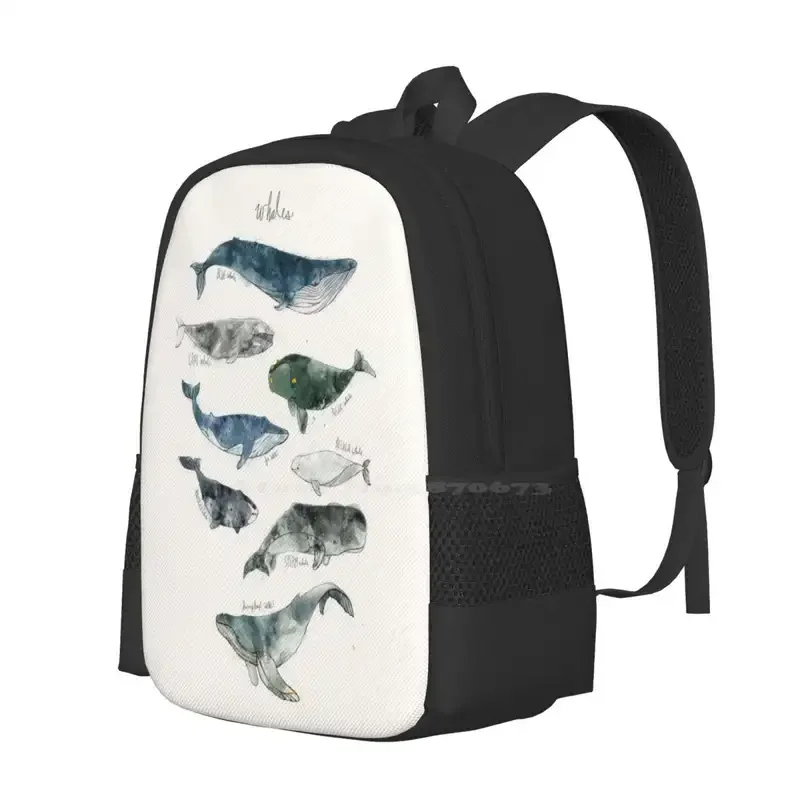 Whales Backpacks For School Teenagers Girls Travel Bags Whales Humpback Gray Blue Beluga Animals Nature Watercolor Children