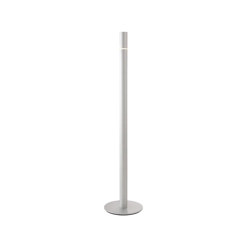 Light source Lifting floor lamp Modern simple living room High value ambient light