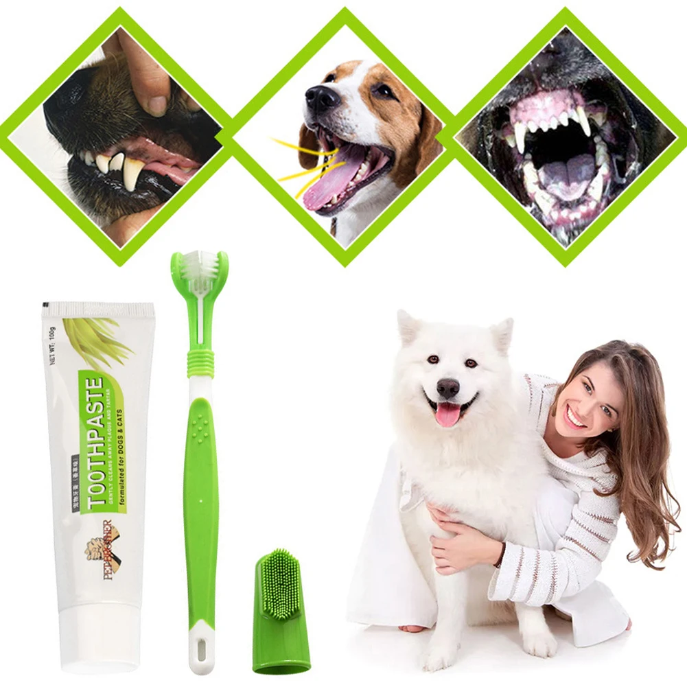 Beef Cat Toothbrush and Toothpaste Set for Teeth Cleaning Vanilla Toothpaste Finger Toothbrush Tongue Cleaning Pet Accessories