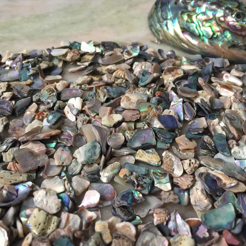 100g Natural Abalone Shell Chips Mother of Pearl Fragments DIY Lacquer Painting Handicraft Ornament Making Accessories
