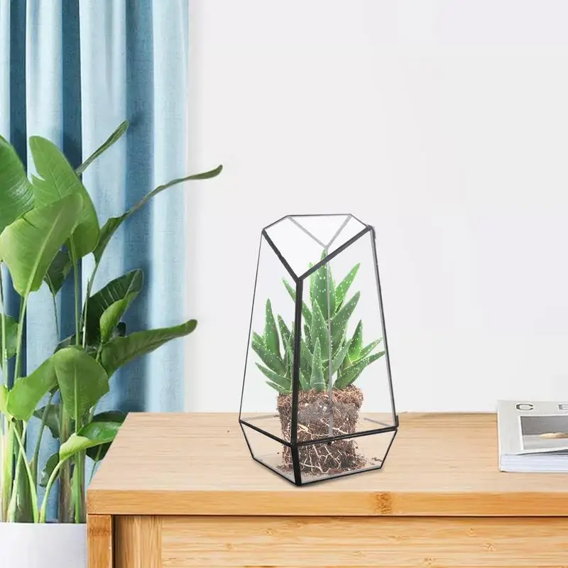 Geometryczne szklane terrarium z drzwiami Nowoczesna ręcznie robiona szklana doniczka z drzwiami 25 cm Ręcznie robiona szklana doniczka mała