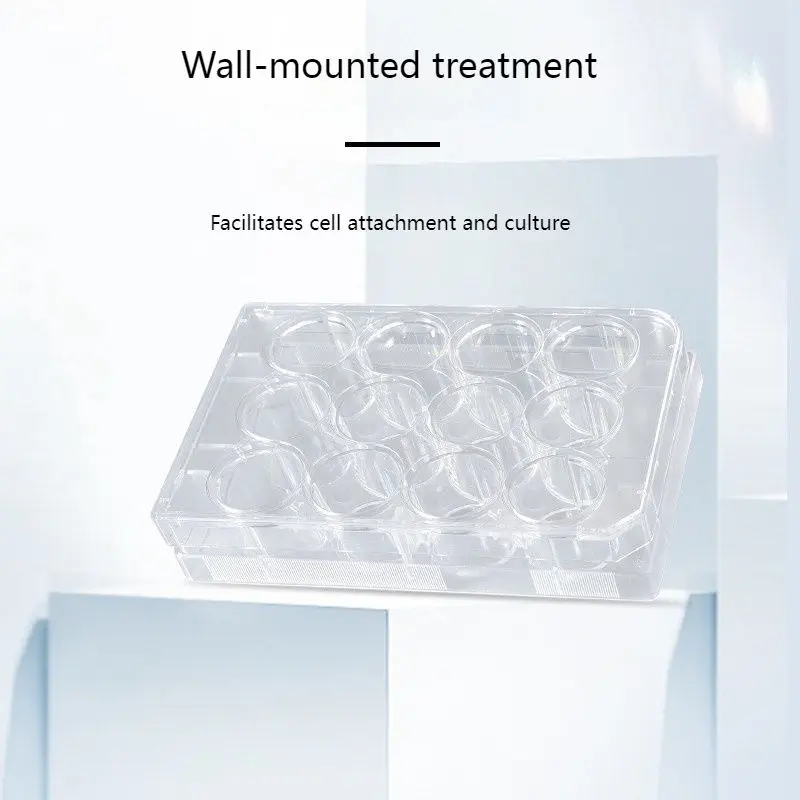 IKEME Tissue Cell Culture Plate 12 24 48 96 Well Microplate TC-Treated Sterile Polystyrene Cell Biology Lab 96 Well Pcr Plate - view 3