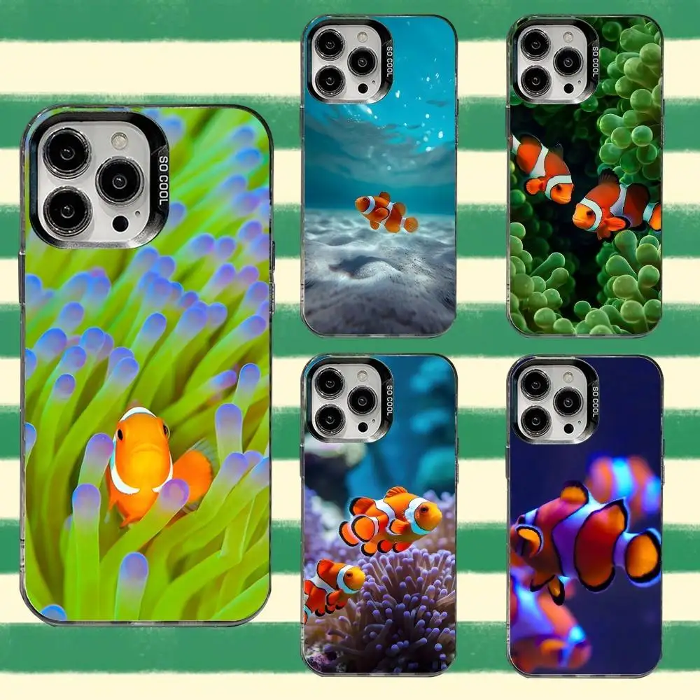 

C-Clownfish Sea Ocean Blue Phone Case For iPhone 16,15,14,13,12,11,8,7,Pro,Max,Plus,Mini,XS,SE Anti Fall Black Matte Hard