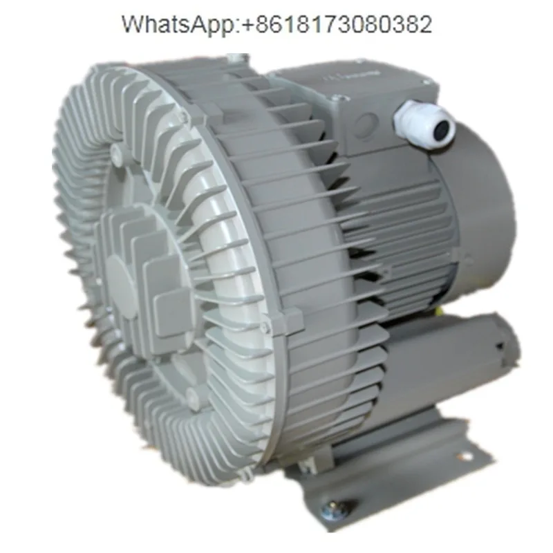 RB20 30 40 50 60-510 520 720 High-Pressure Blower Vacuum-Formed Air Pump