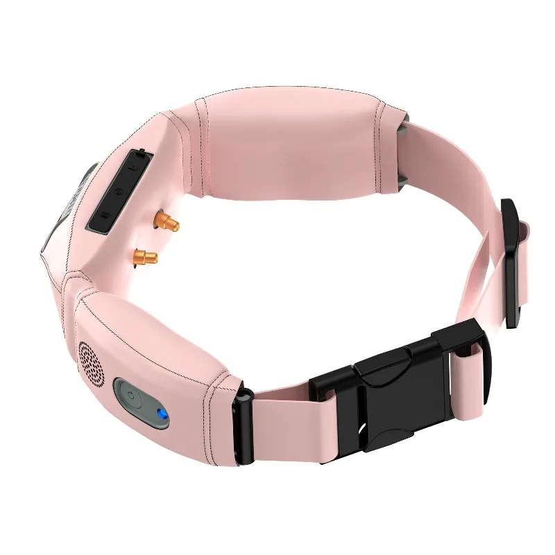 

Multifunctional Pet Collar Dog Trainer Custom