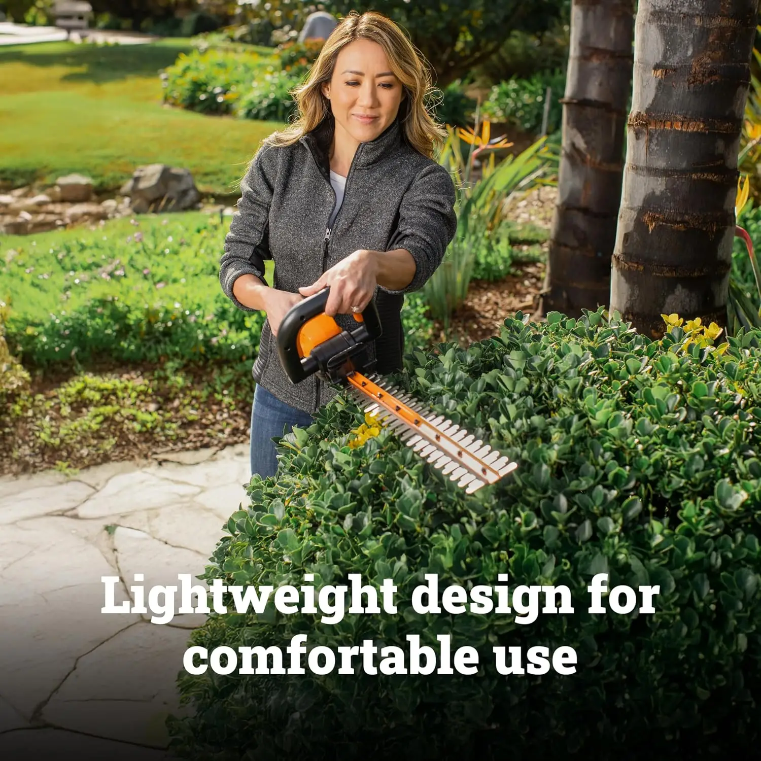 Cordless Hedge Trimmer, 20V 22