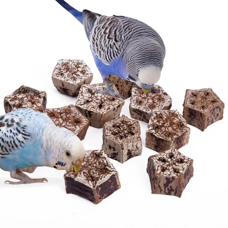 Pet Parrot Toys Natural Beak Grinding Toy Dried Fruit Blocks for Birds Budgies DropShipping