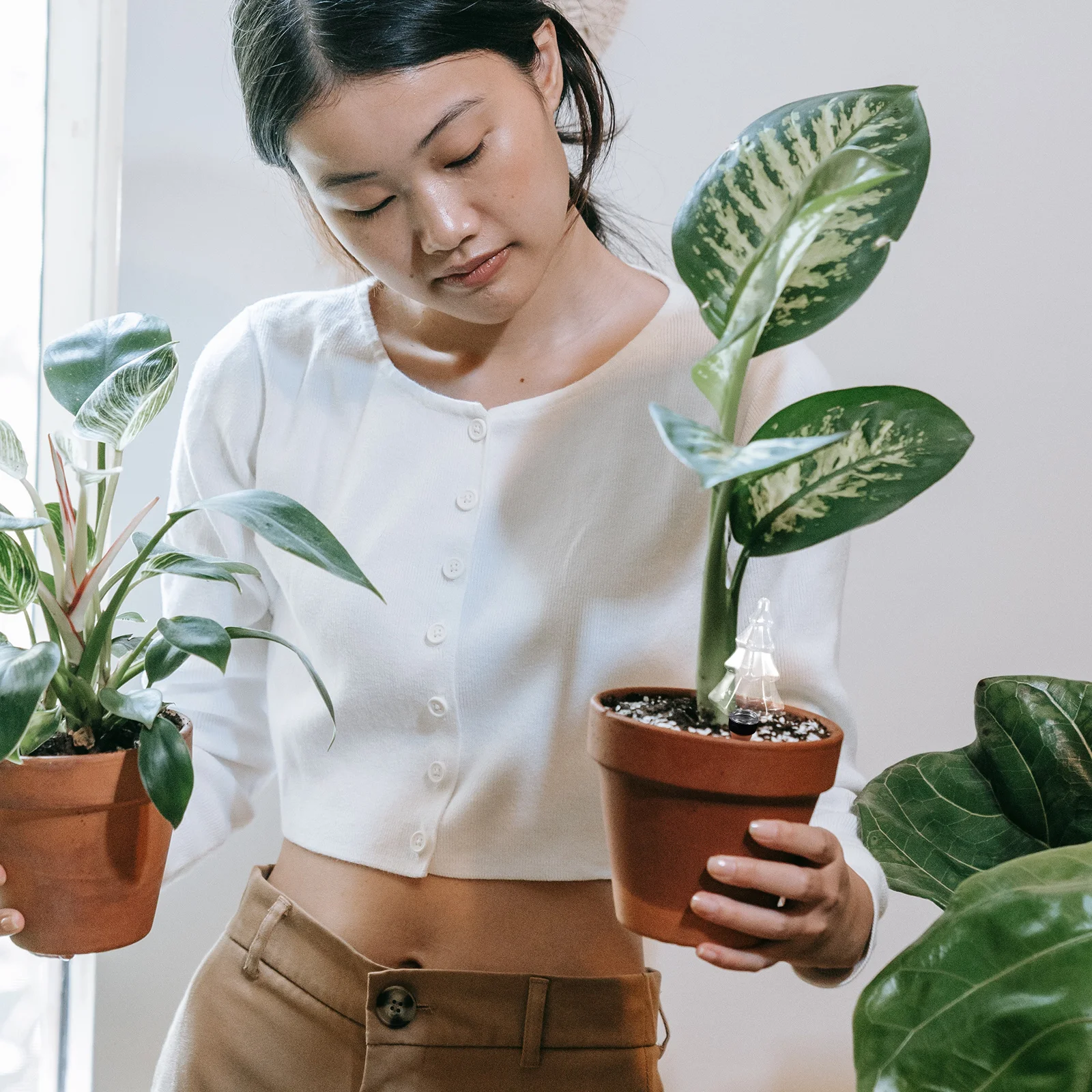 

Christmas Tree Watering Spikes Automatic Plant Waterer Indoor Self Watering Devices Garden Moisture Control Tool Irrigation Kit