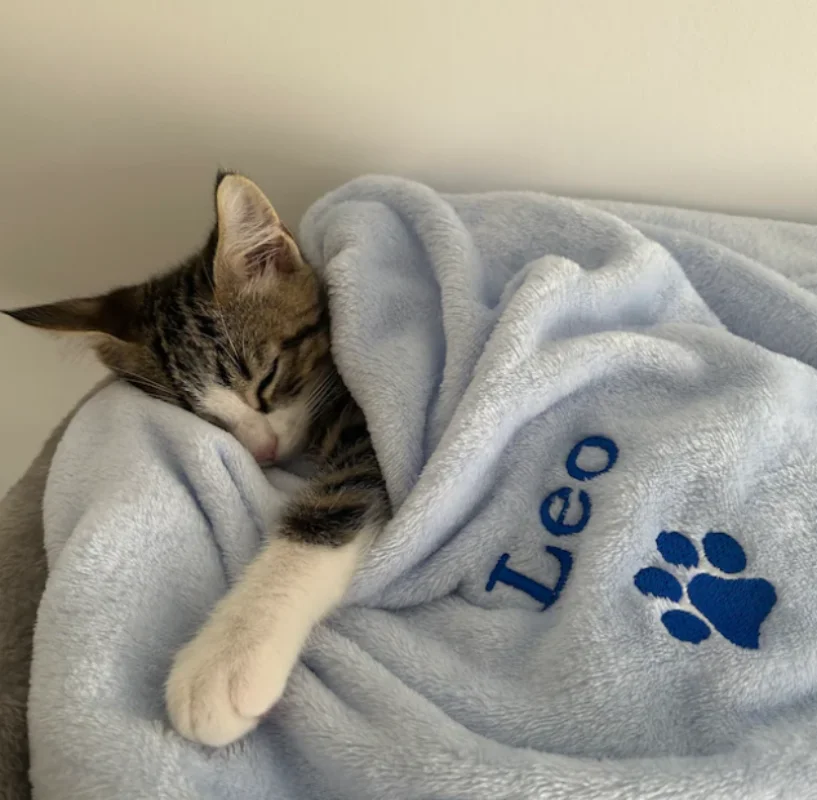 Personalised, Embroidered Dog/Cat Puppy/Kitten Blanket. Can Be Plain, With Paw Print Only Or With Paw Print And Your Pet\'s Name