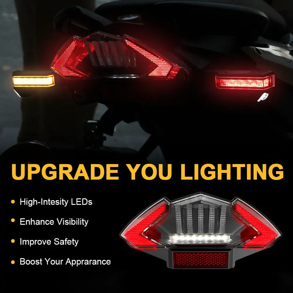 E-mark Approved LED Taillight for BMW F650 Dakar GS ST F800ST F800GT GT F800R R R1200 GS Adventure Tail Lamp With DRL Turn Sinal