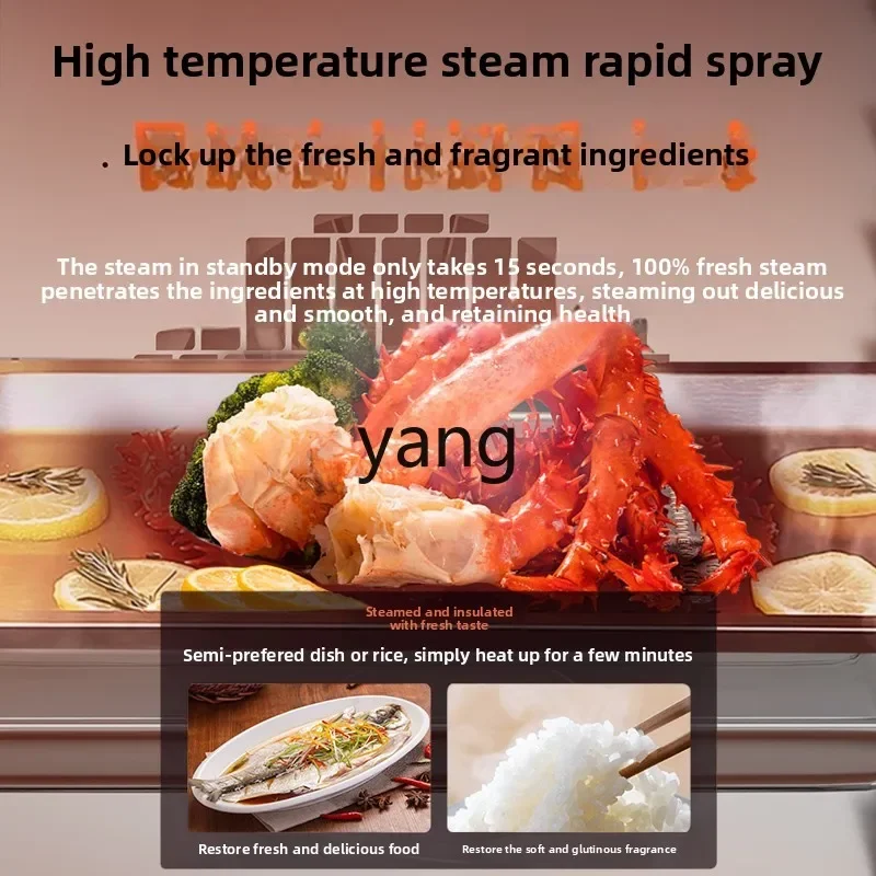 CX commercial large-capacity multi-function oven roast duck automatic steaming and roasting machine