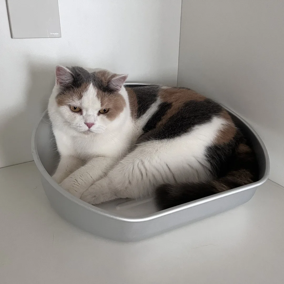 

Pet Cat Pot Summer Cooling Cool Nest Ice Cold Aluminum Basin