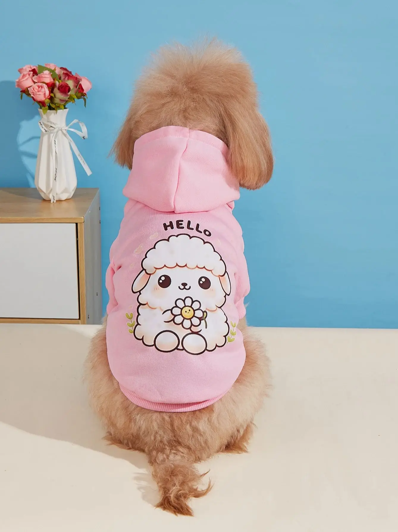 Pet clothes dog and cat sweatshirt with velvet warm and comfortable clothes with prints simple, fashionable and generous