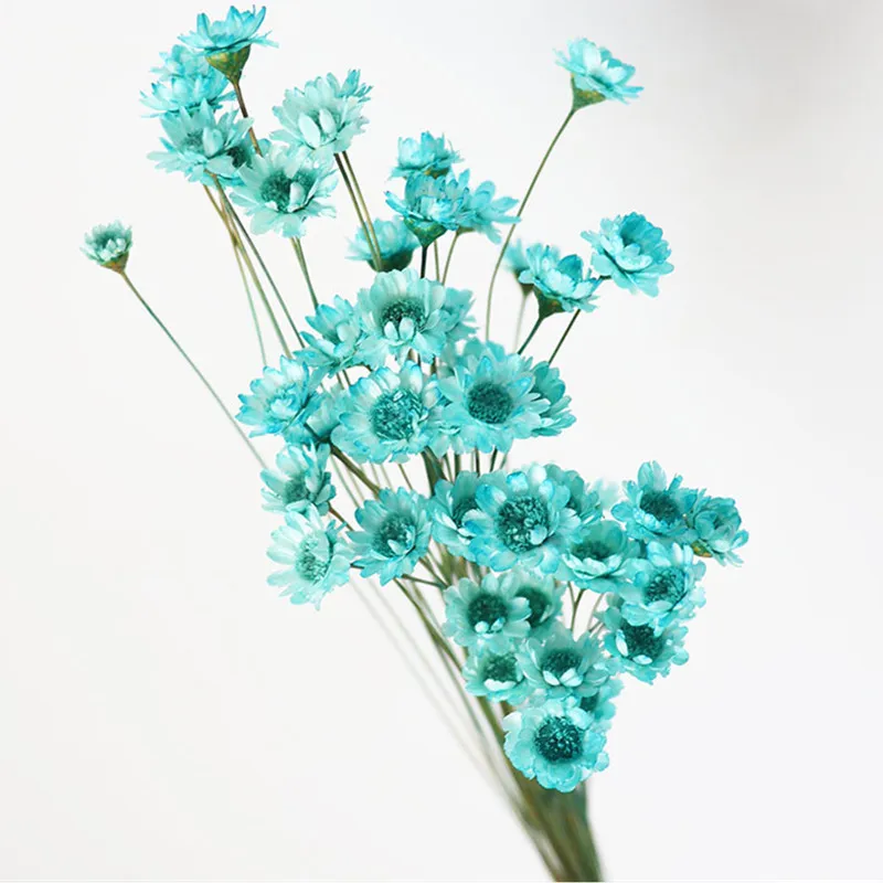 

40pcs A Lot Brazilian Star Flower Natural Immortal Dried Flowers Tiffany Blue, White,Pink Bouquets Home Flower Arrangement