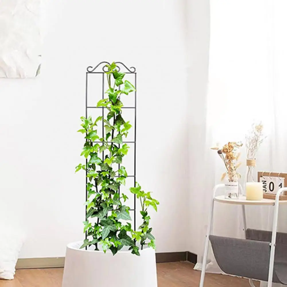 

Plant Climbing Stand Durable Metal Garden Trellis for Climbing Plants Easy Installation Plant Support Stand for Outdoor Use 2