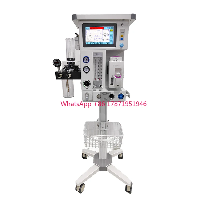 SV-1900 numbness Equipment Vet use portable numbness machine pet clinic use numbness Machine For Sale