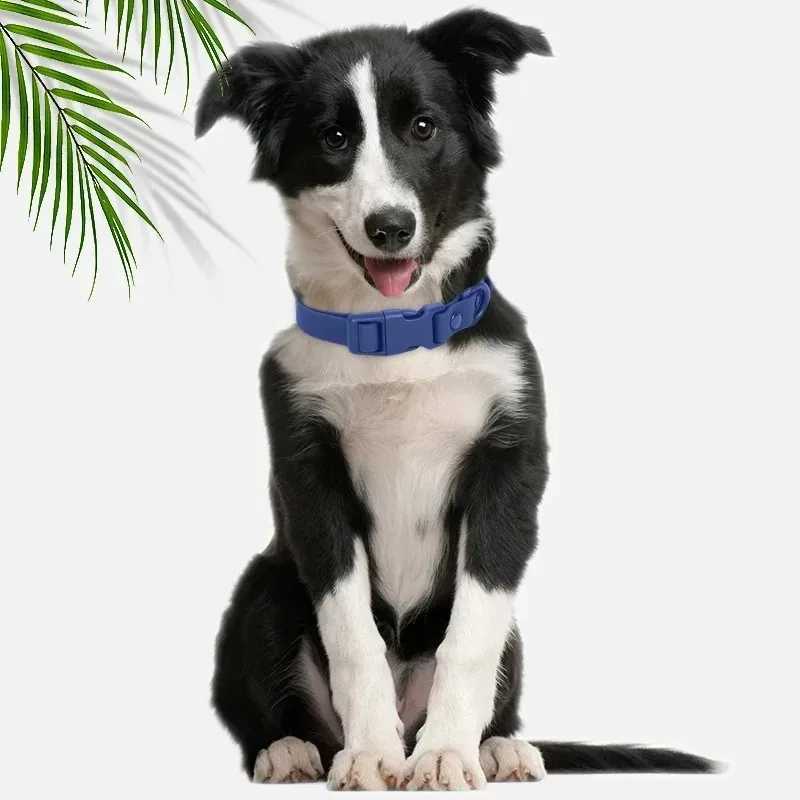 Neues Macaron-farbiges PVC-Hundehalsband, wasserdicht, schmutzabweisend, leicht zu reinigen, Haustierhalsband, verstellbares Halsband, Haustier-Hundehalsband – Detail 10