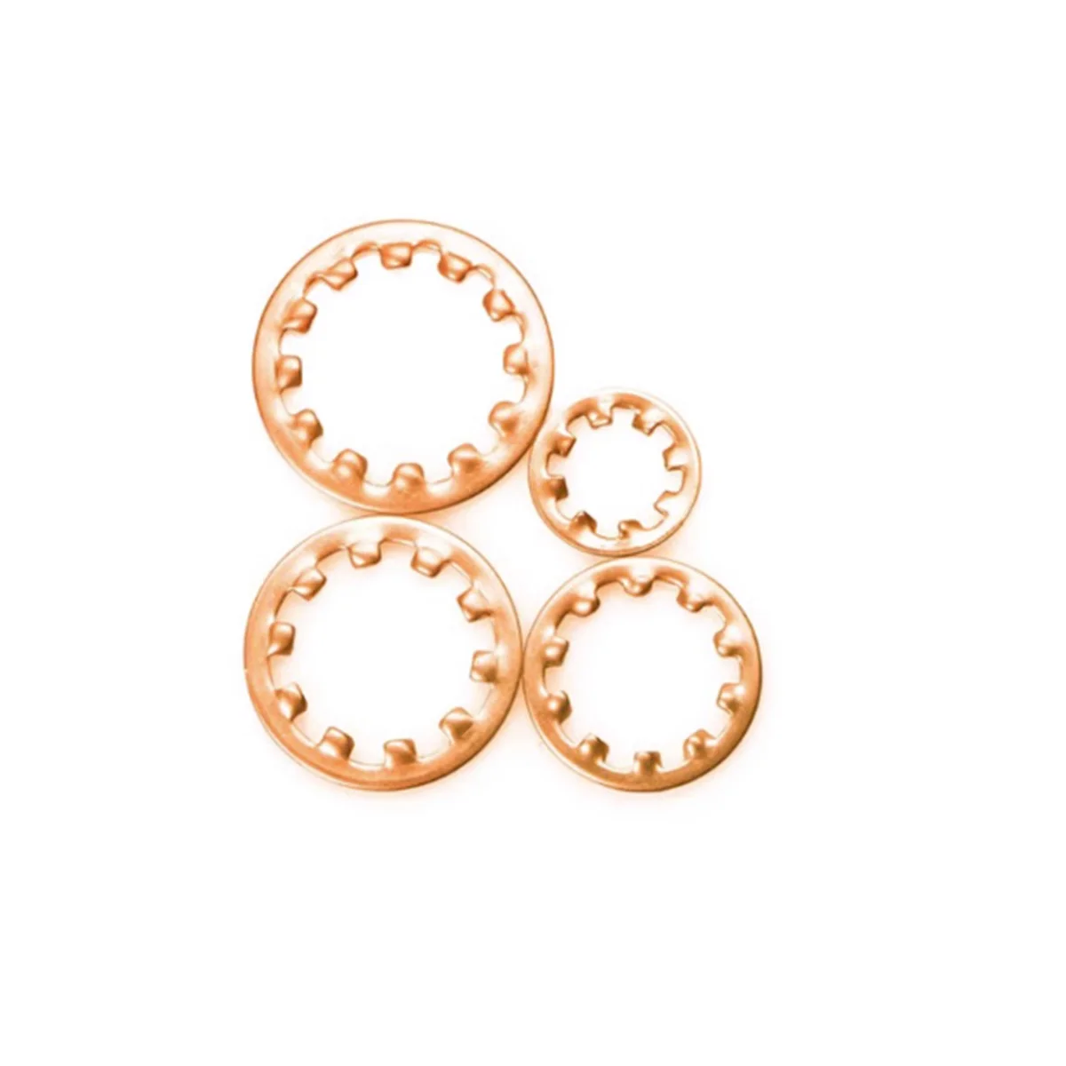M3-M10 Phosphor Copper Internal And External Tooth Chrysanthemum Lock Washer 6