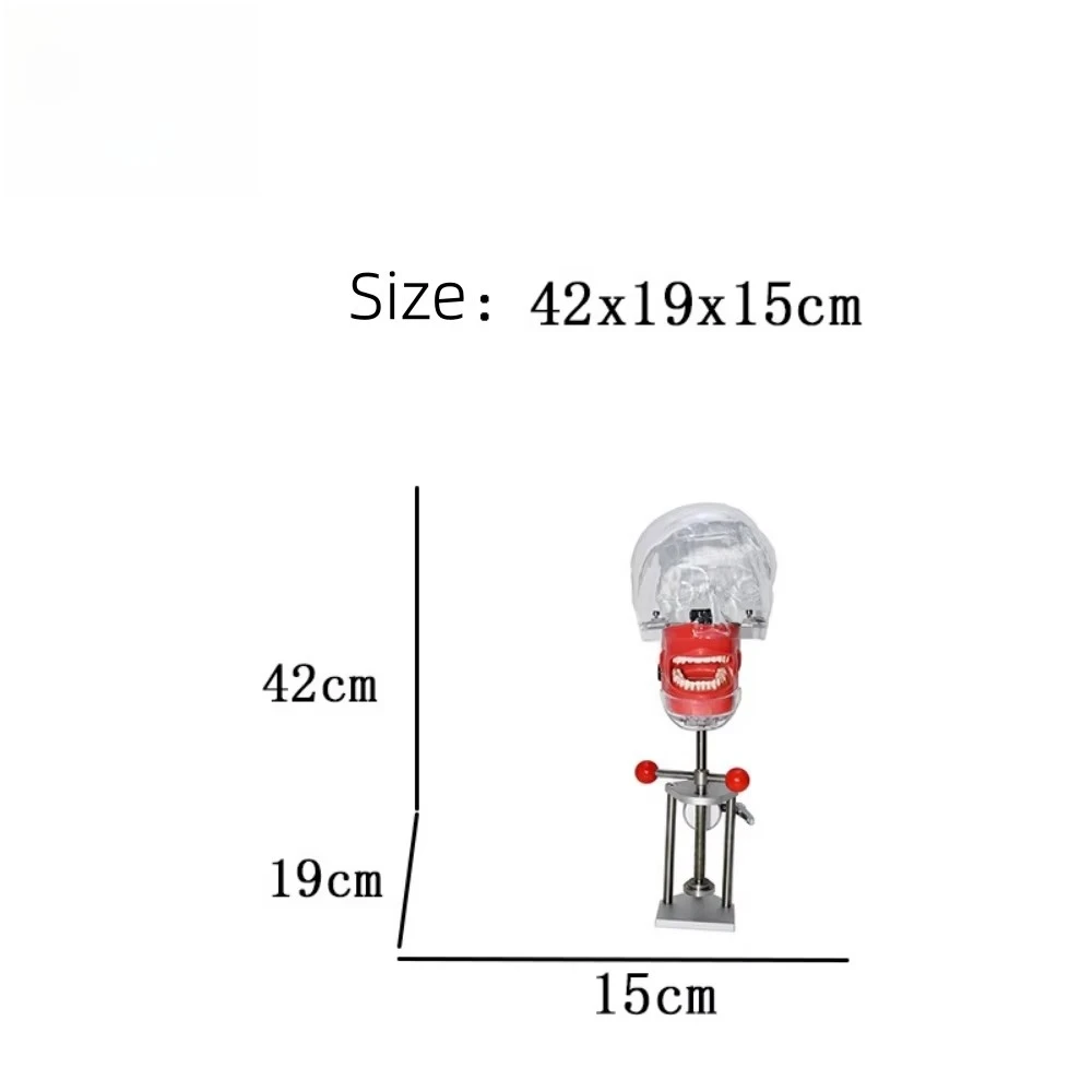 Oral Dental Phantom Head Simulator Model for Dental Practice & Training Manual Power Source for Dental School & Clinic