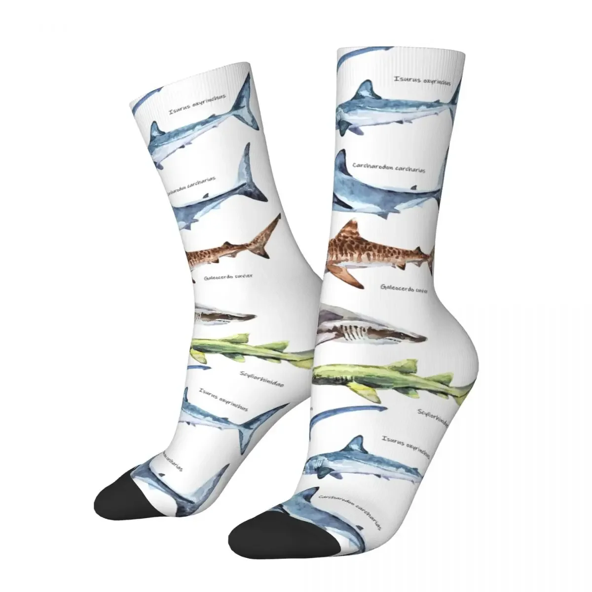 Winter Warm Colorful Women Men A Set Of Shark Images Socks Breathable Middle Tube Socks