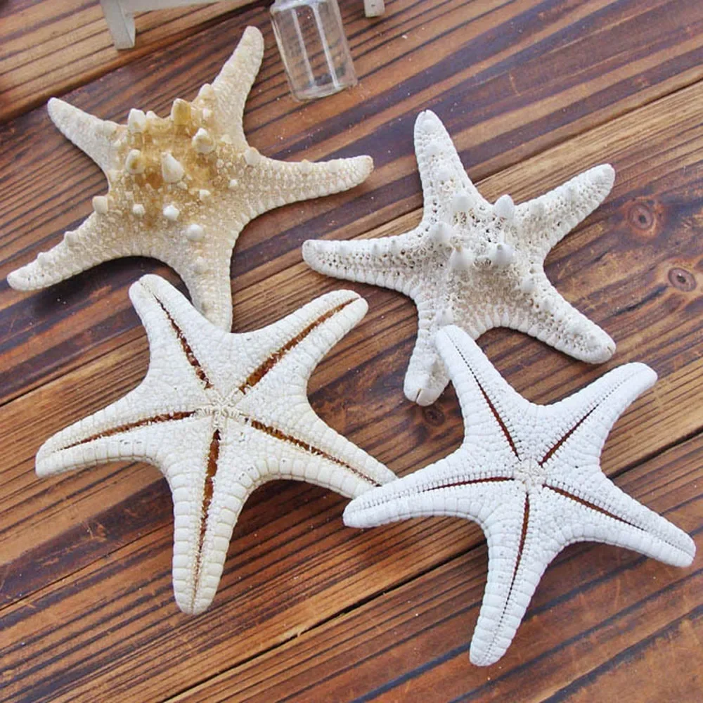 Cute Mini Natural Sea Stars Mediterranean Starfish Decoration DIY Craft Beach Cottage Kids Bedroom Living Room Decor Ornaments