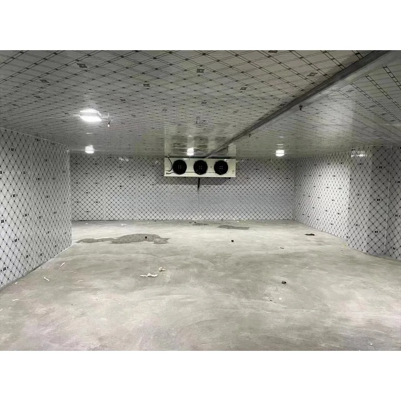 Food-Grade Controlled Atmosphere Cold Storage Room for Fresh Potatoes Broccoli Apples Fruits & Vegetables