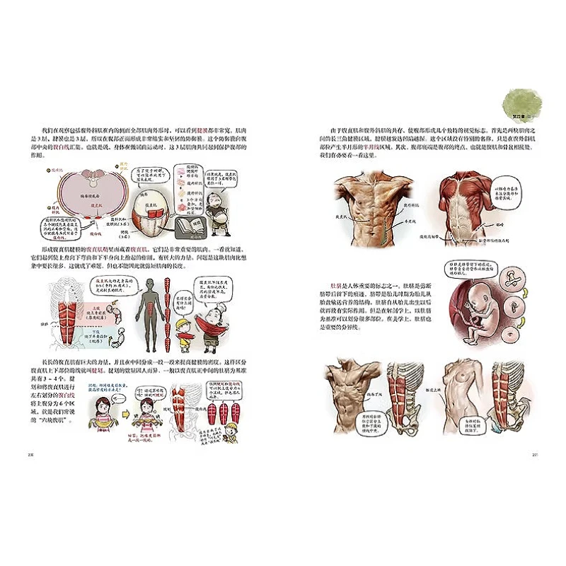 1 book Human Body Muscle Drawing Tutorial Books, Artistic Anatomy Notes Drawing , Human Body Structure Sketching Tutorial, Atlas