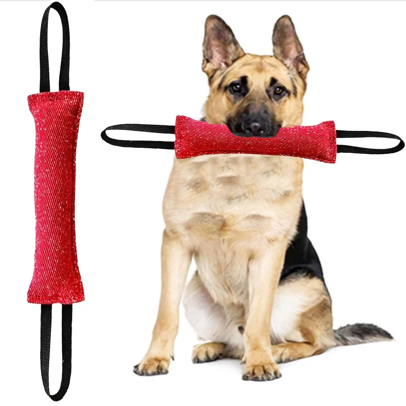 #11 Latest Dog Fetch Toys Offers
