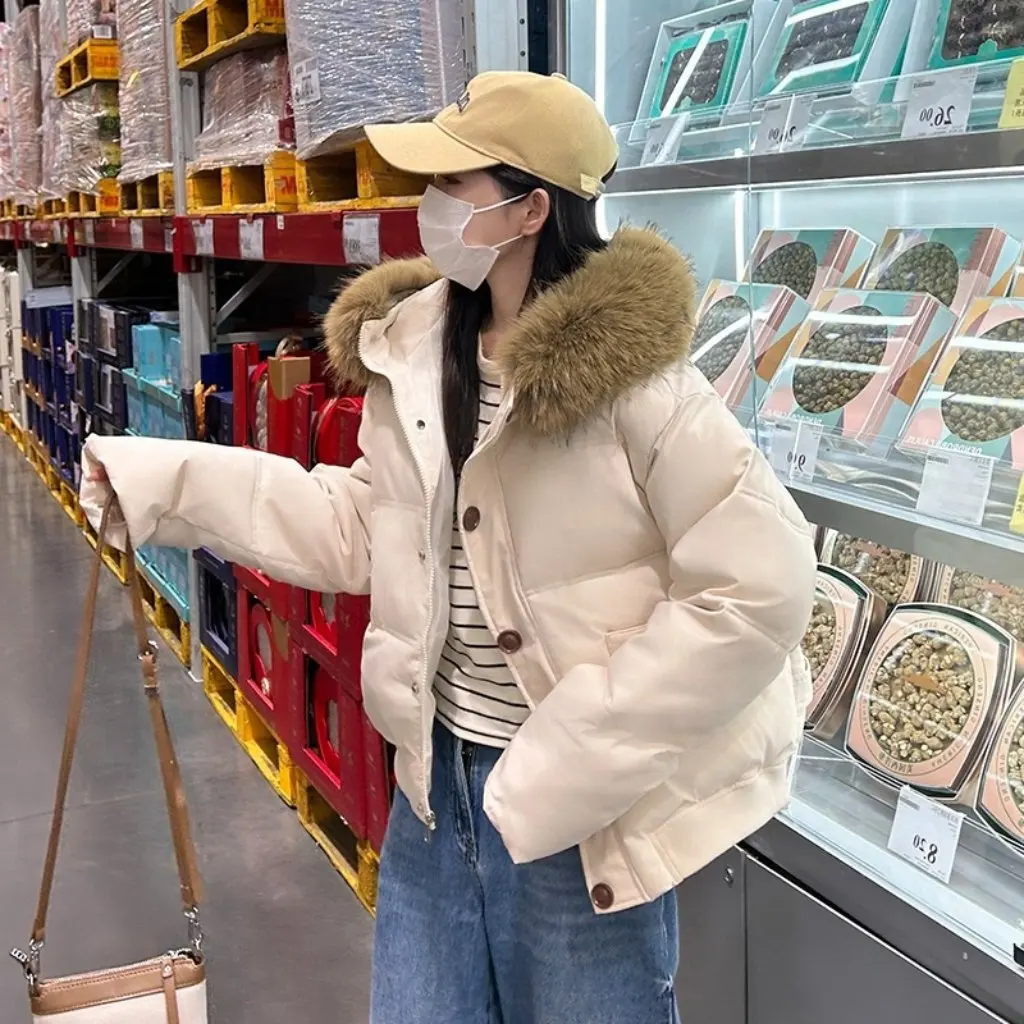 Jaket Wanita Korea Berbahan Katun Tebal dengan Kerah Wol Besar Desain Pendek Model Baru untuk Pelajar
