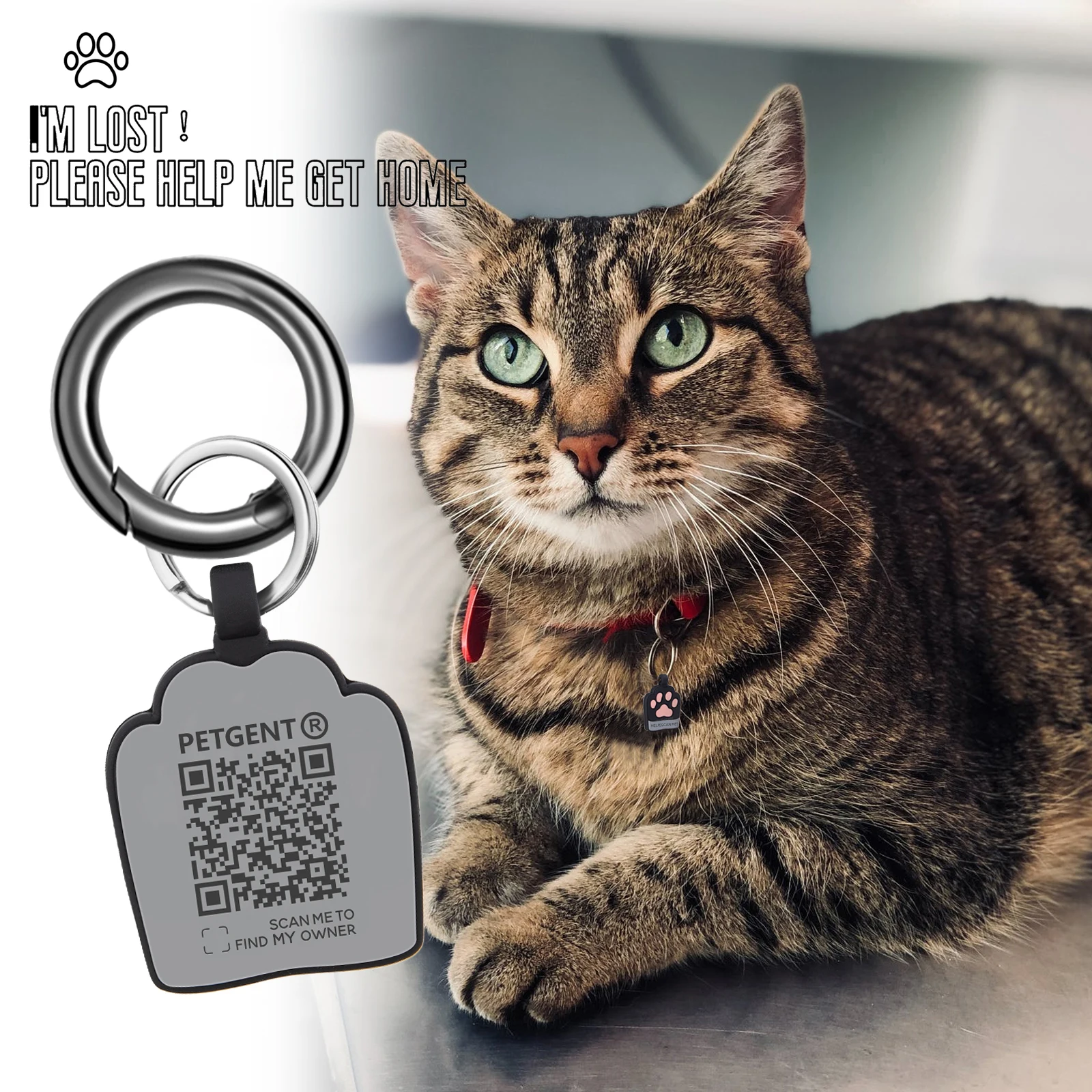 Personalized QR Code Dog Cat Tags ngraved Cat Dog Puppy Pet ID Name Collar Tag Pendant Pet Accessories