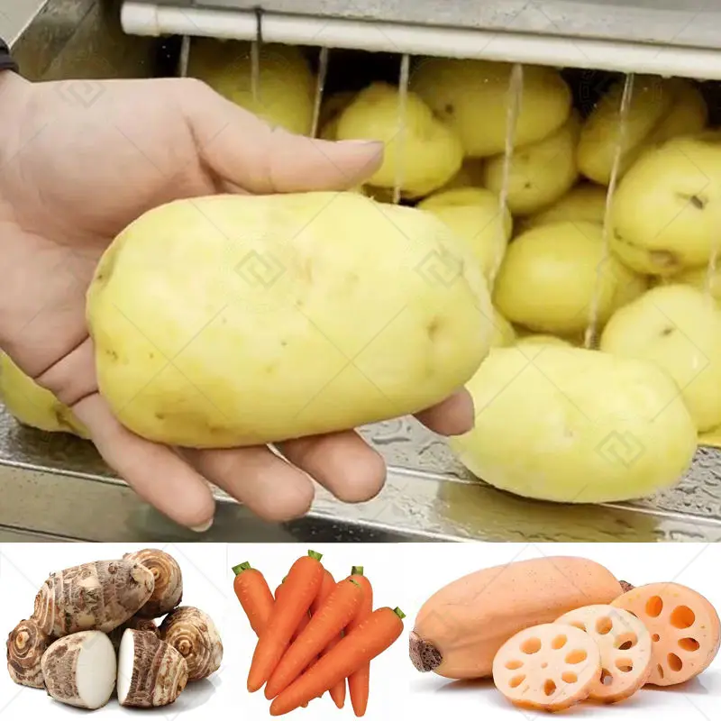 Elektryczna przemysłowa maszyna do czyszczenia i obierania warzyw korzeniowych, marchwi, batatów, owoców i warzyw.