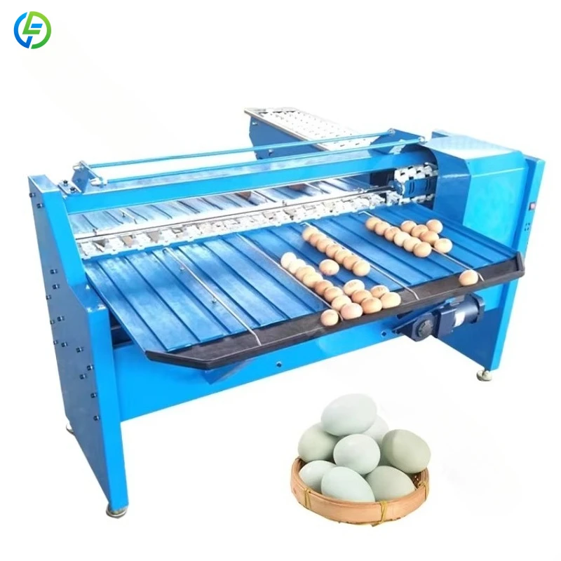 Factory Price High Capacity Egg Grader Table Top Egg Grading Machine Sorter Customized