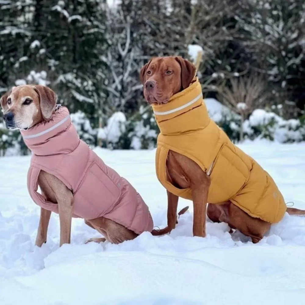 

Puppy Clothes Winter Waterproof Coats for Dogs Windproof Large Dogs Clothes Adjustable Design Dog Accessories Supplies
