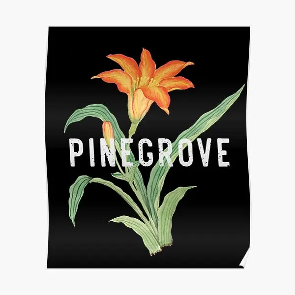 

Pingrove Poster Wall Vintage Modern Funny Decoration Home Mural Picture Print Art Decor Painting Room No Frame