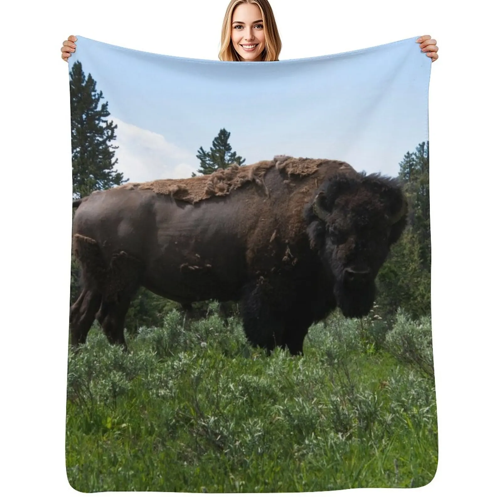 Buffalo Stare Down Throw Blanket for winter Loose Soft Plaid warm winter Bed covers Decorative Beds Blankets