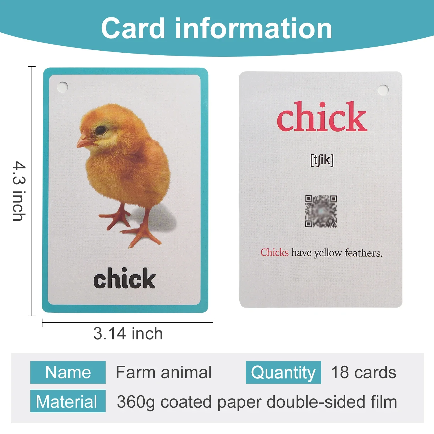 Cartes d'apprentissage des mots anglais, animaux sauvages de ferme, jouets éducatifs pour enfants, outils pédagogiques préscolaires, décor de salle de classe