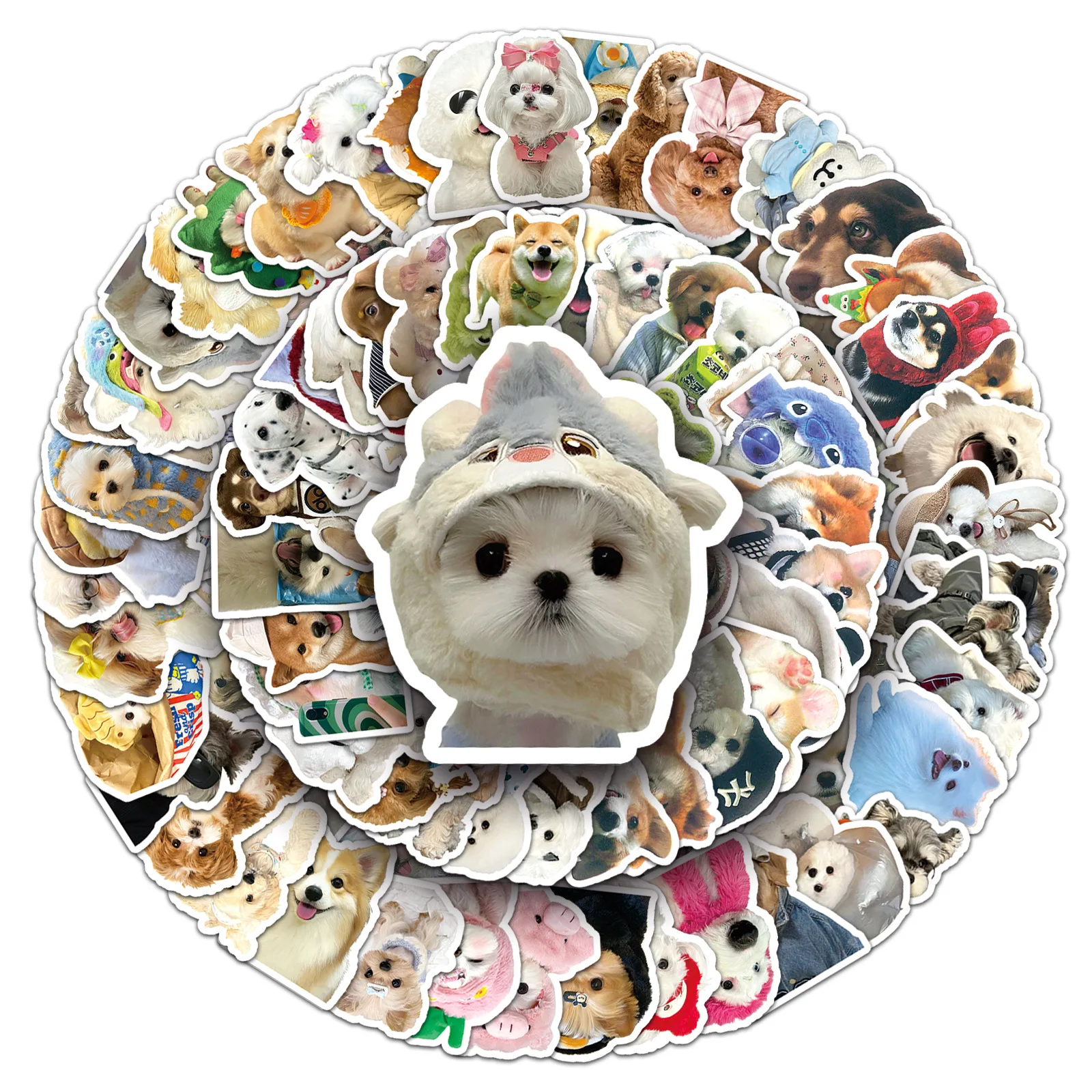 10/30/50PCS New Cute Pet Dog Stickers Cartoon Animal Graffiti Stationery Luggage Bottle Guitar Car Wall Sticker Toy Decoration