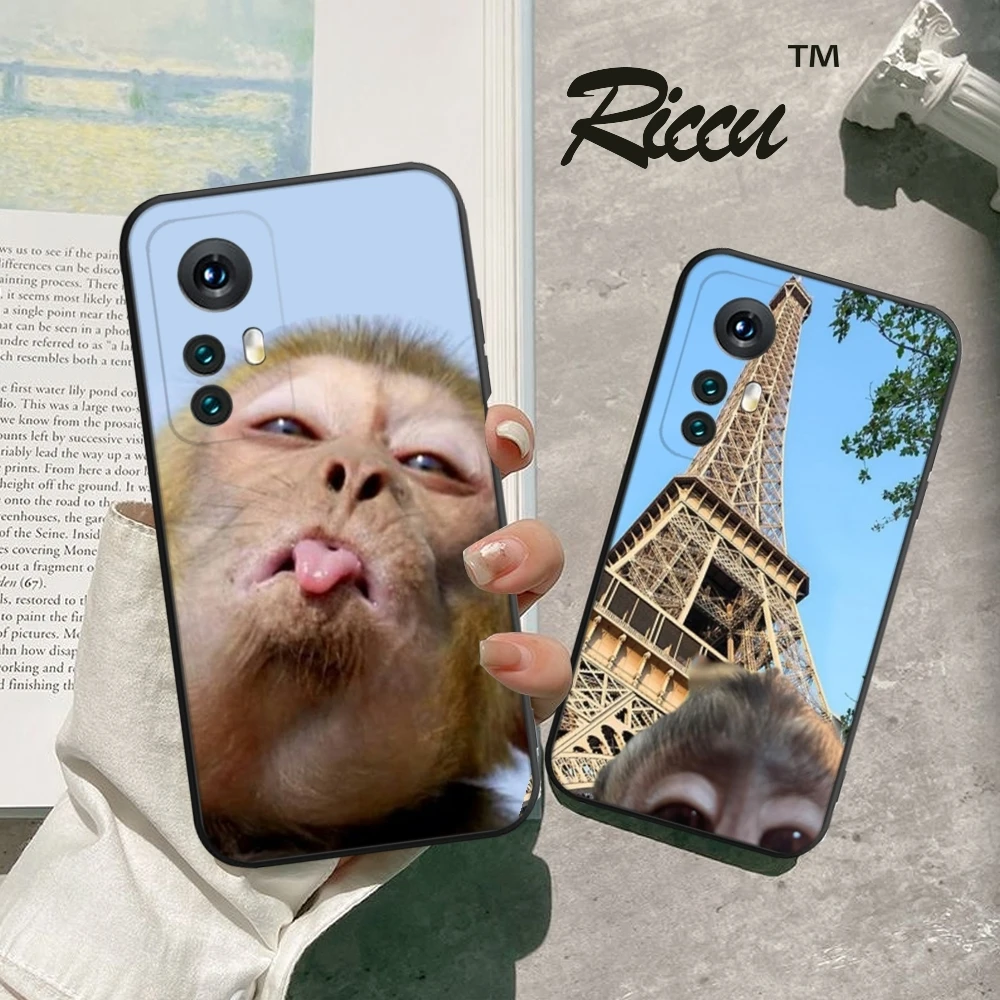 Monkey Sipping Capri Meme Phone Case For Xiaomi Redmi Note 11 10 9C Pro 10X K20 Back Soft Cover Note 9A K40 K30S Cover