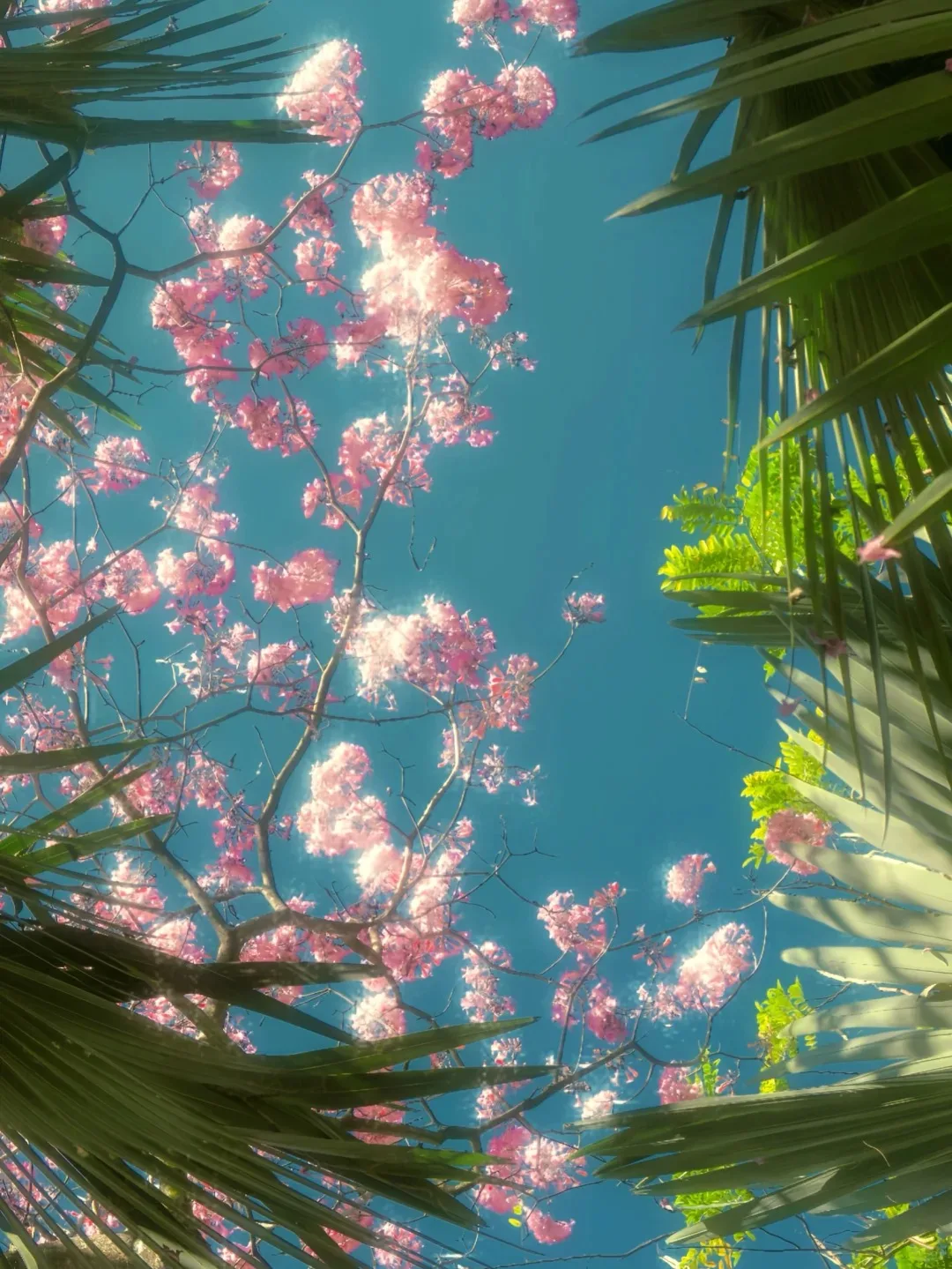 

Весы для анализа состава тела с 8 электродами, двухчастотные, для измерения биоимпеданса