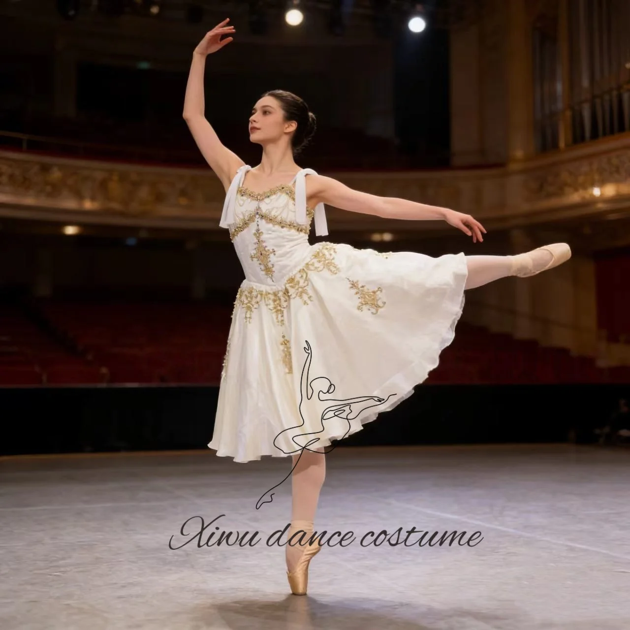 Traje de Ballet Swan Lake de Dawn Princess, Traje de Competición, Traje de Actuación, Personalización Profesional