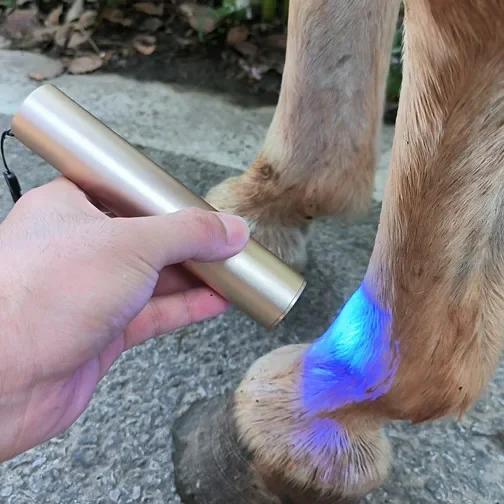 Red light vet therapy device for horses blue light near infrared pain therapy light body torch