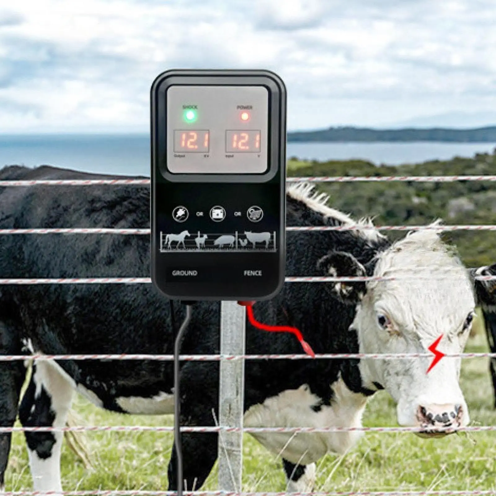 

Electric Fence Charger Sturdy Professional for Agricultural Garden Livestock
