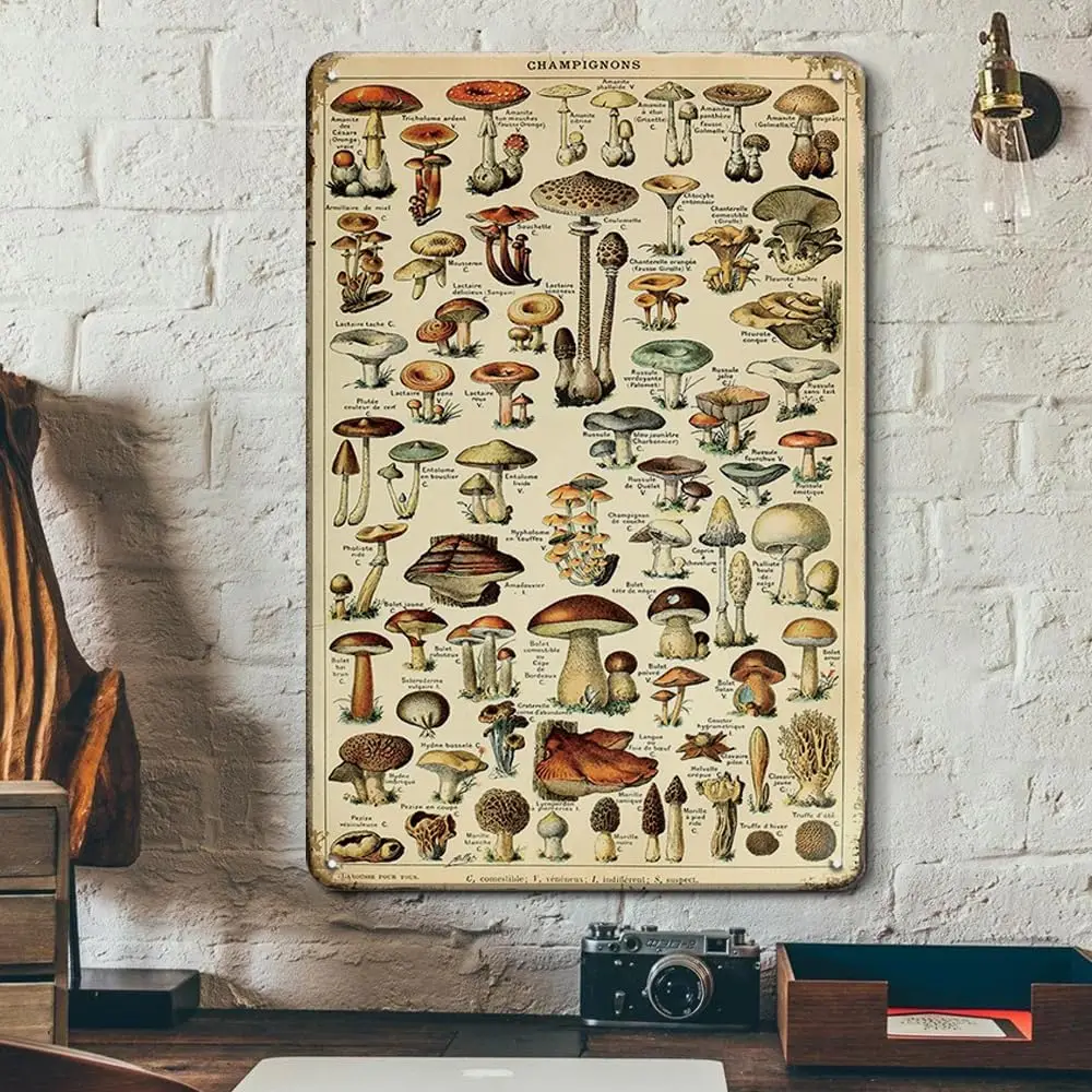 Vintage Mushroom Poster Fungus Wall Art Retro Tin Sign - Mushroom Species Identification Reference Mushroom Accessories - Mushro