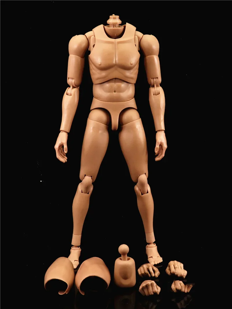 Collection 1/6 Man Muscle Narrow Shoulder Body 12'' Action Figure Doll Model Fit For 1:6 HT DAM Soldier Head Sculpt Carving Toy