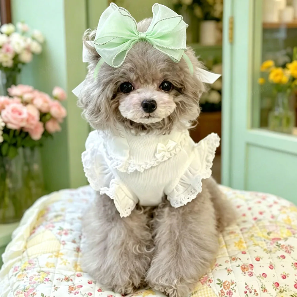 Lazos para perros y gatos – 30 unidades color sólido para la cabeza - imagen 4