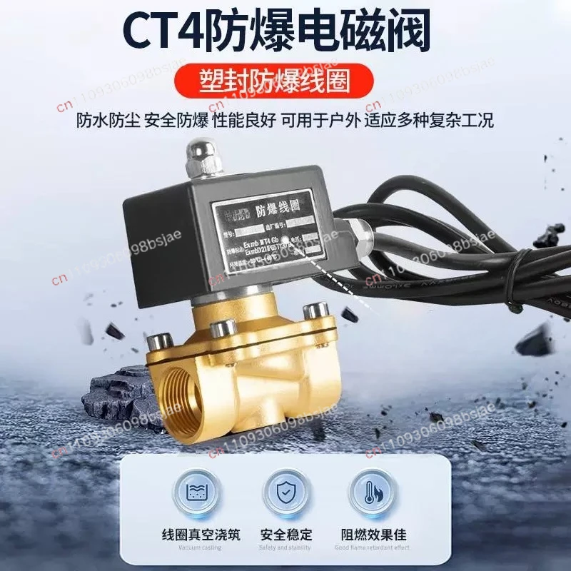 220/24V brass thread button electronic valve pipeline switch control valve mine water air