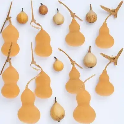 10 قطعة ديكورات فنون القرع الطبيعي الحلي لمكتب متجر مول ديكور مساحة صغيرة ديكور الحرفية الهدايا