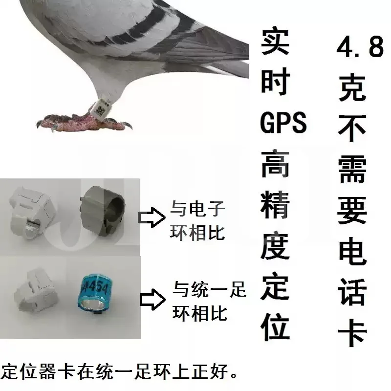 Pigeon GPS Locator Anklet Flying Feather Intelligent Positioning Anklet