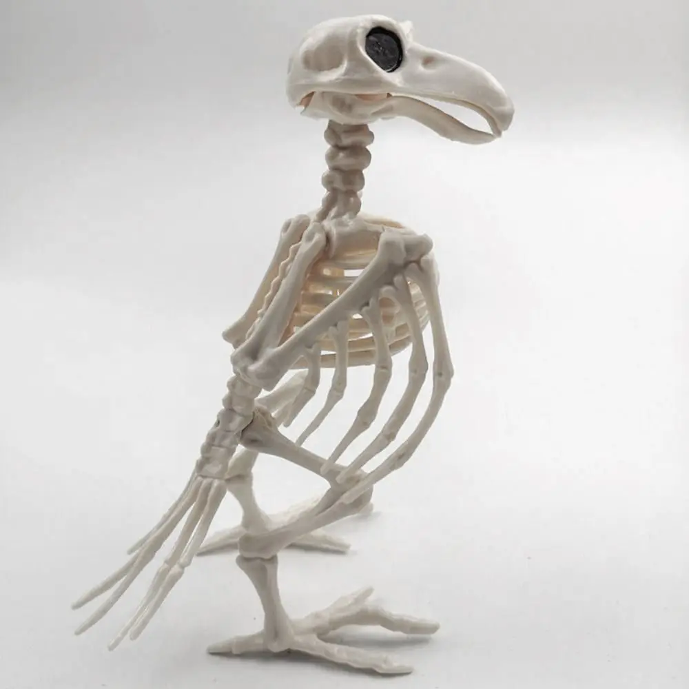 Crazy Knochen Skeleton Raven Kunststoff Tier Skeleton Knochen Horror Halloween Dekoration Halloween Prop Vogel Crow Skelett Dekoration