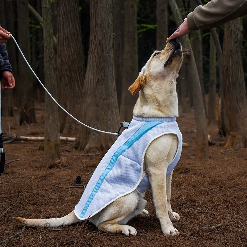 

Pet cool clothes summer dog cooling clothes summer heatstroke reflective vest dog vest corgi shiba dog breathable thin